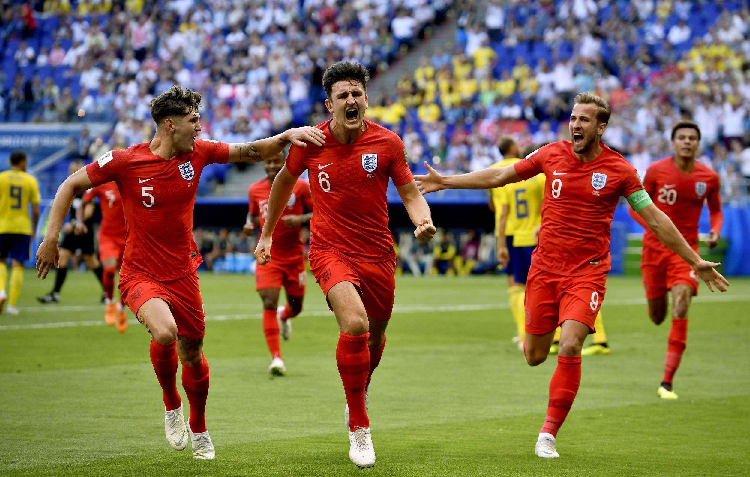 引进众多明 引进众多明