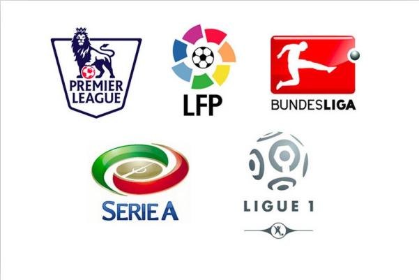 已经提前预 已经提前预