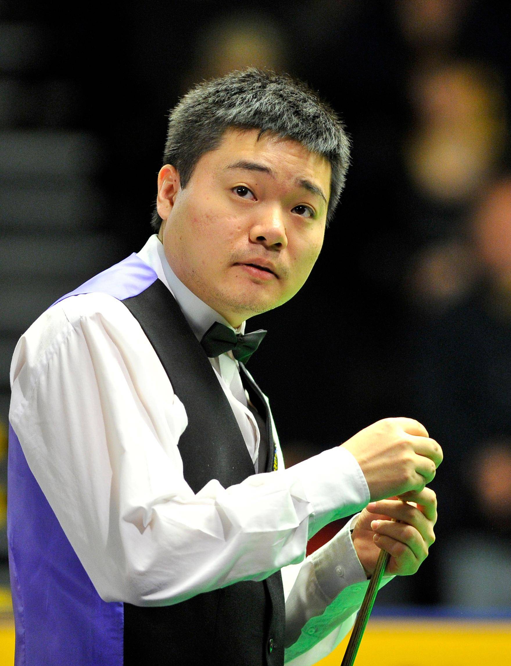 网球公开赛 网球公开赛