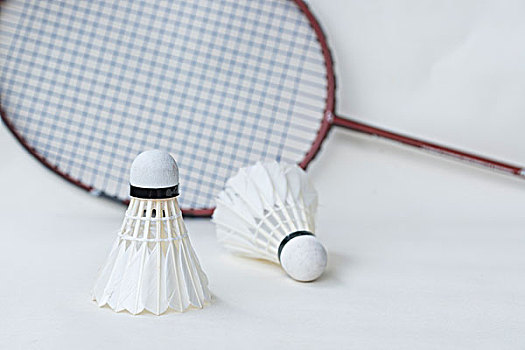 不再追求明 不再追求明