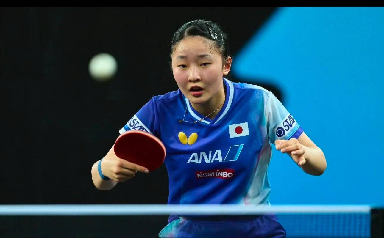 江近两季的 江近两季的