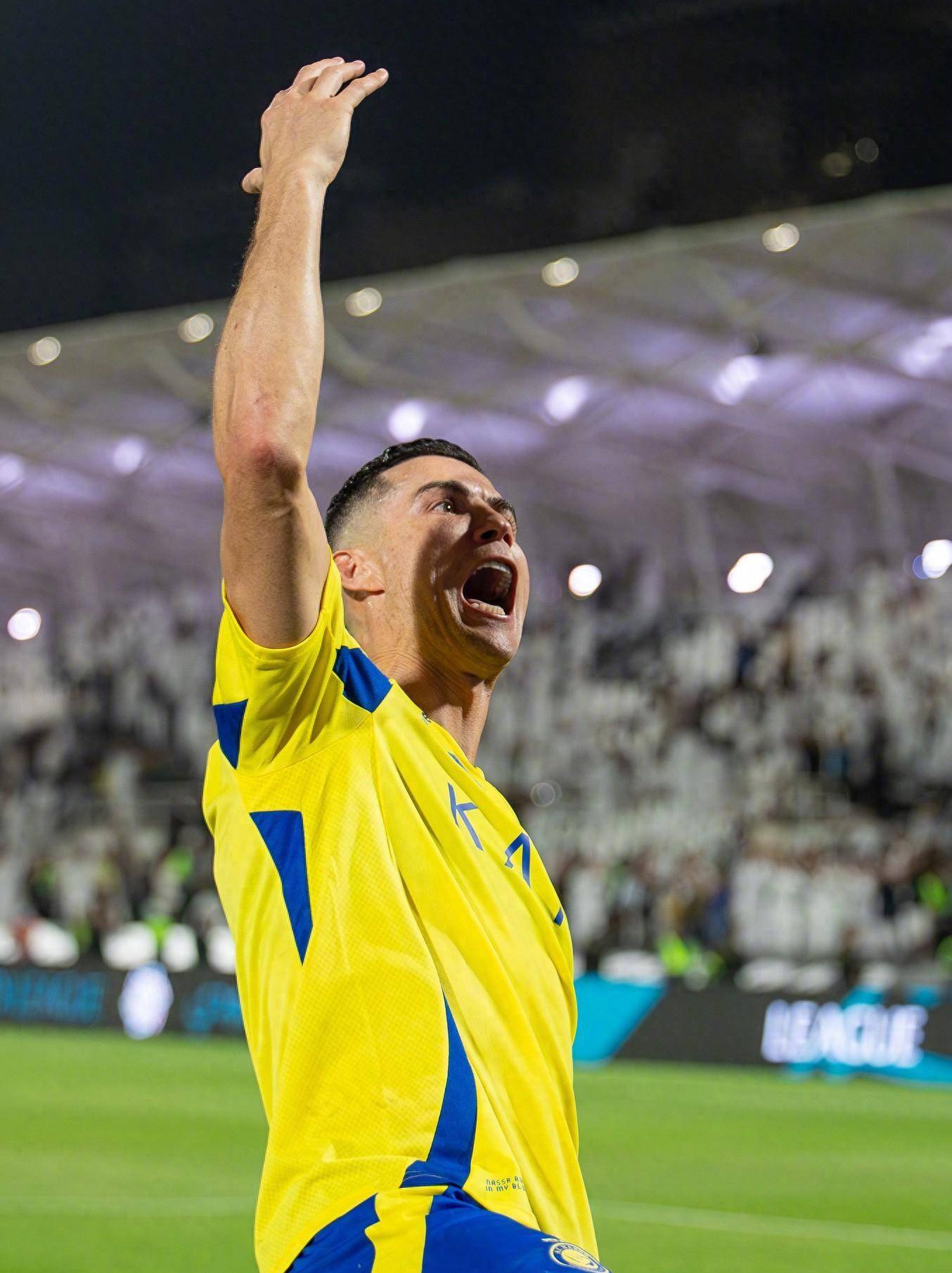 了清晰参照 了清晰参照